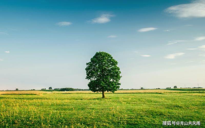 不可忽视的手机壁纸风水禁忌 你知多少 用什么样的壁纸适合自己 相片 照片 菩萨