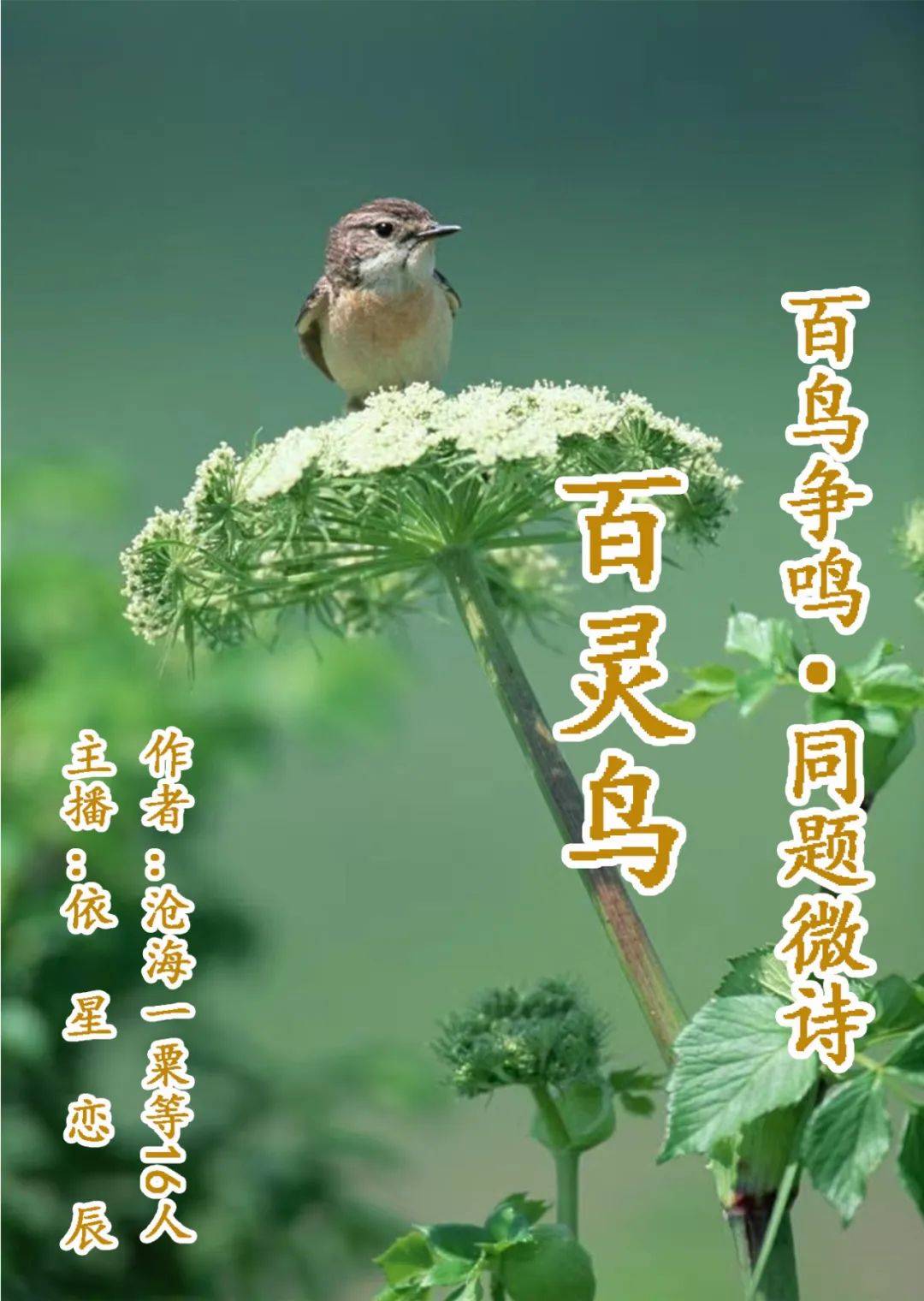 沧海一粟等16人百鸟争鸣同题微诗百灵鸟心香文艺