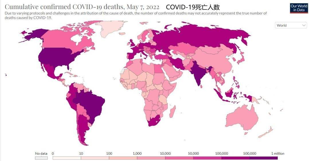 2021年全球疫情分布图图片
