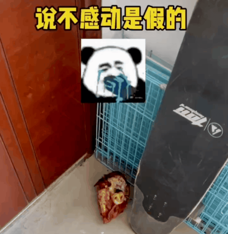 网友看着它爬楼梯不太利索的搞笑样子,再想到它叼着2斤多的大烧鸡跑了