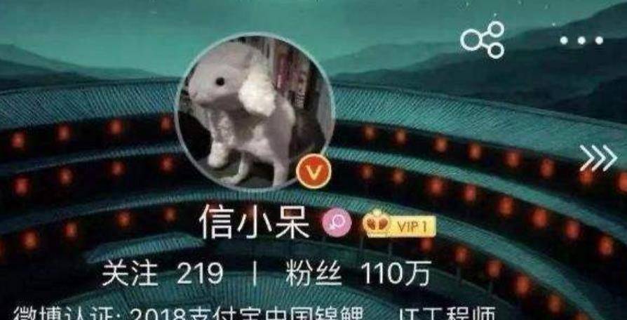 当年的锦鲤女王信小呆中奖一亿为何最后会沦落到去诈骗