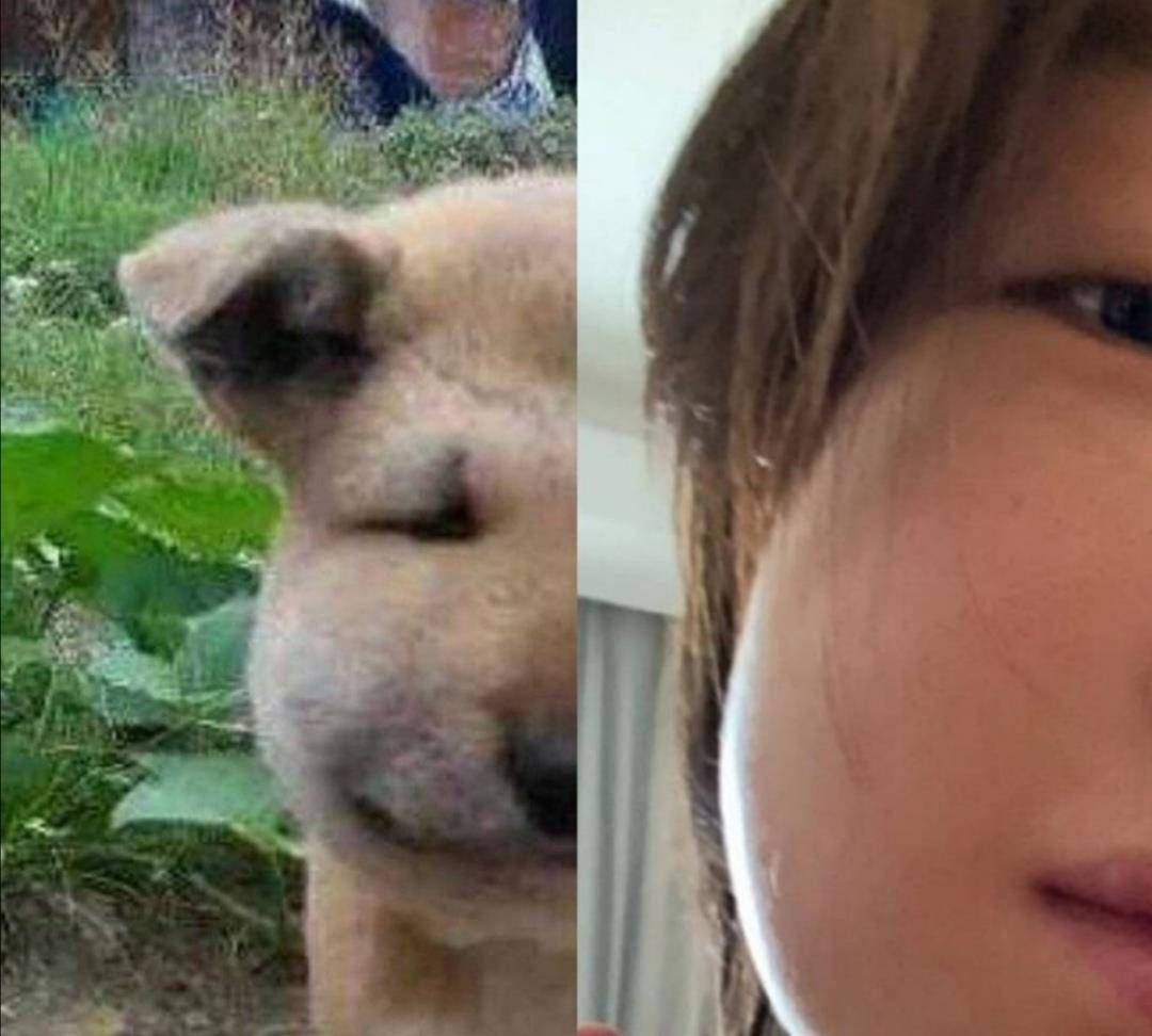 周冬雨拔智齿撞脸表情包,网友高能警告:笑点低的千万别点进来