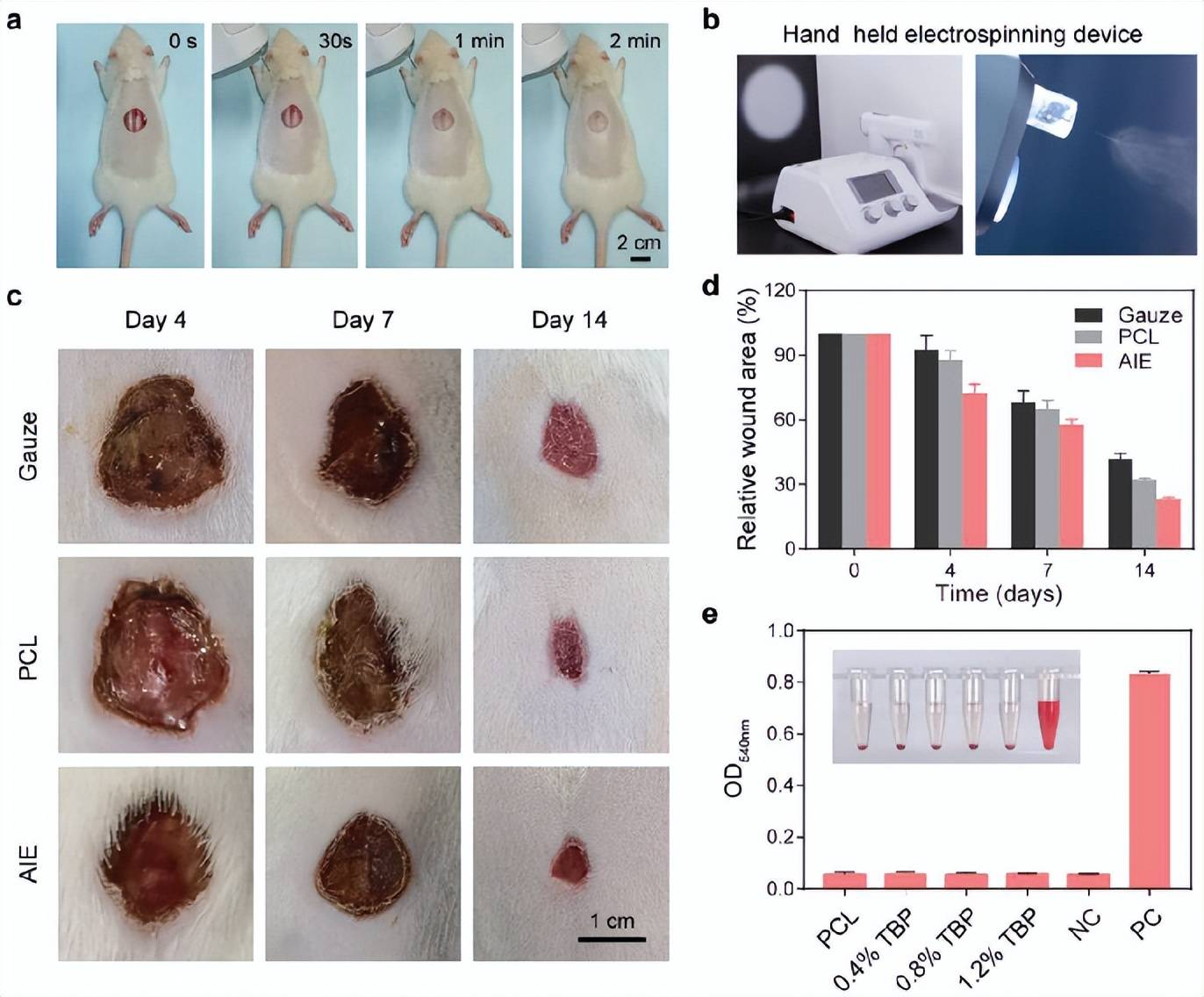 唐本忠院士团队研发发光纳米纤维敷料具备光动力抗菌治疗效果
