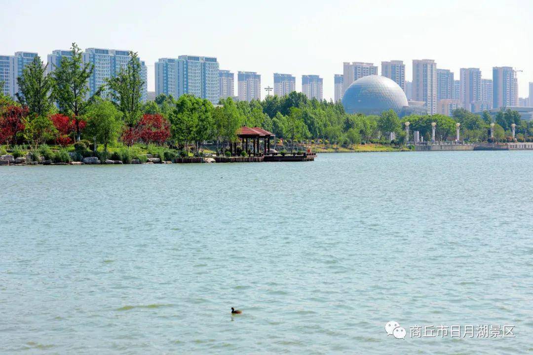商丘市日月湖景区夏日小赏