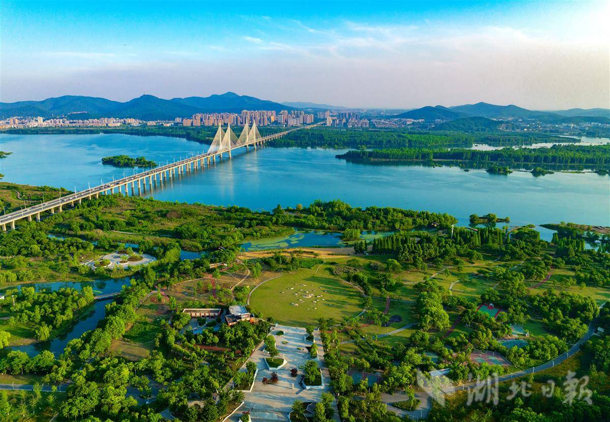 湖北襄陽月亮灣溼地公園綠意盎然繪就美麗生態畫卷