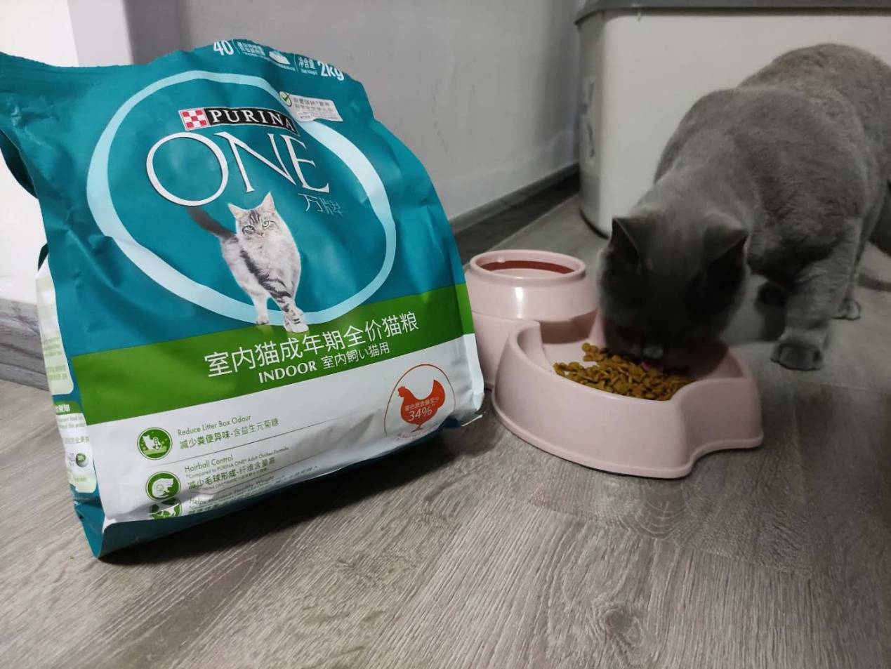 万牌猫粮怎么样7年养猫经验分享真实测评