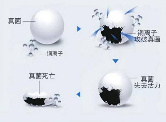 飞万生物科技纳米化铜离子系列产品