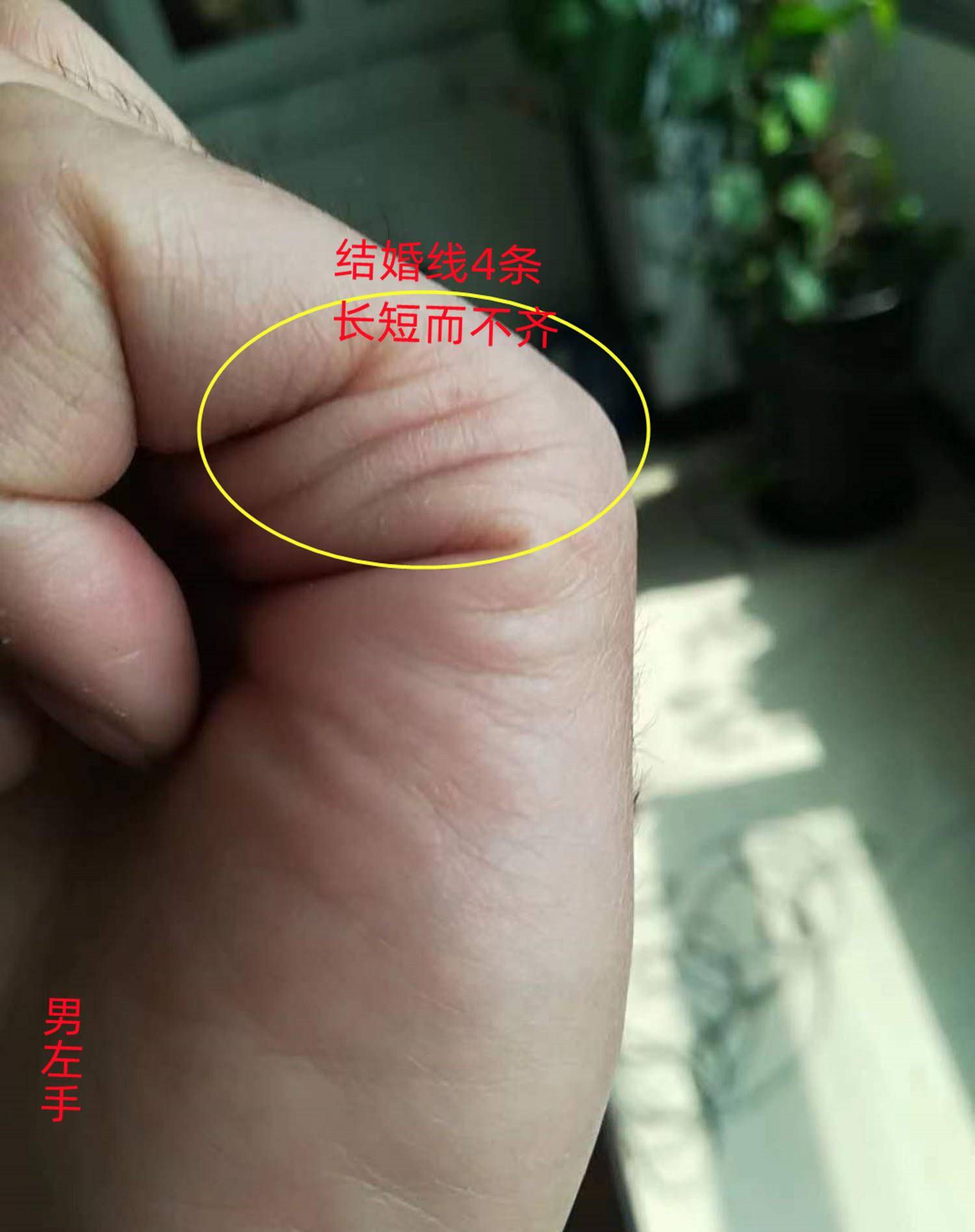 手相:先苦后甜,自己买马,自己骑的手纹特征