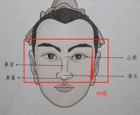 面相三停看一生运势,你是穷?是富?_一个人_下巴_人中