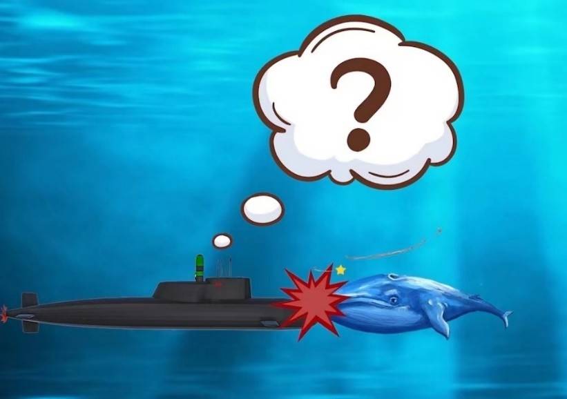 鲸鱼碰瓷核潜艇会爆炸吗潜艇发射的鱼雷撞上鲸鱼又会发生什么