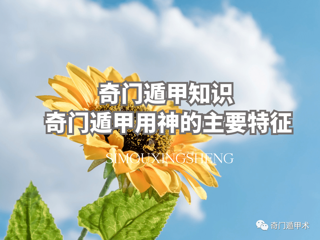 奇门遁甲知识| 奇门遁甲用神的主要特征_搜狐网