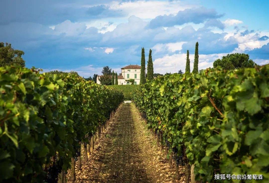 法国波尔多著名的波亚克(PAUILLAC)产区的葡萄酒简介