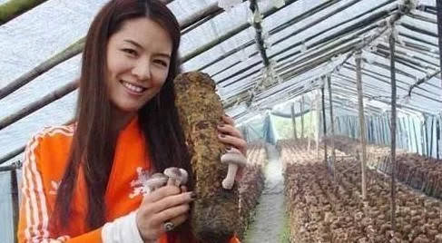 借助她的名人效应,马艳丽把蘑菇从家乡送到更多的地区,让村里村民真正