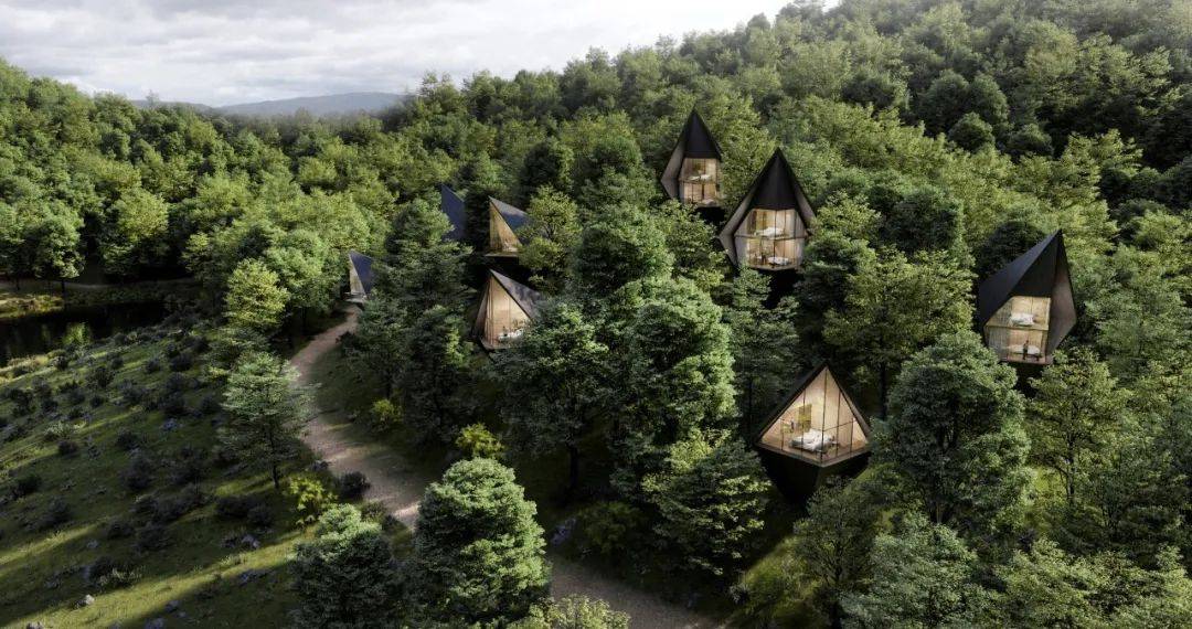 隐居山野,栖息树上| 浅谈树屋酒店设计——AD国际_Pogusch_大自然_度假村