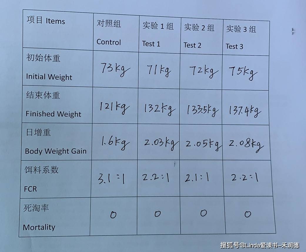 猪料肉比对照表照片图片