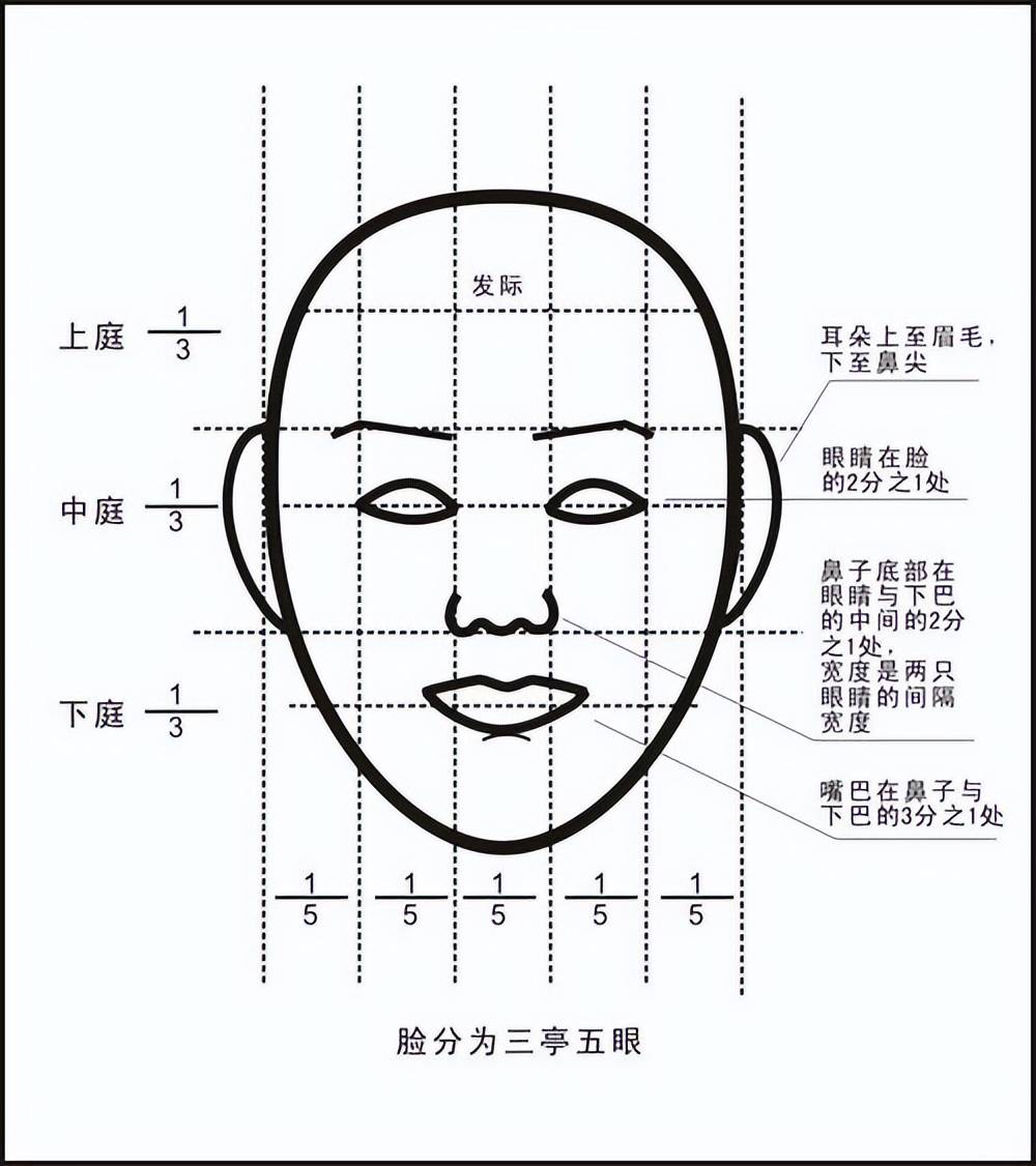 面部的美学标准