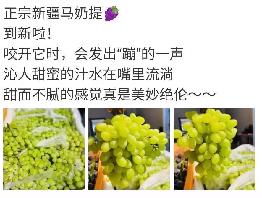 水果文案:配水果马奶提的朋友圈文案,马奶提水果宣传文案模版_运营