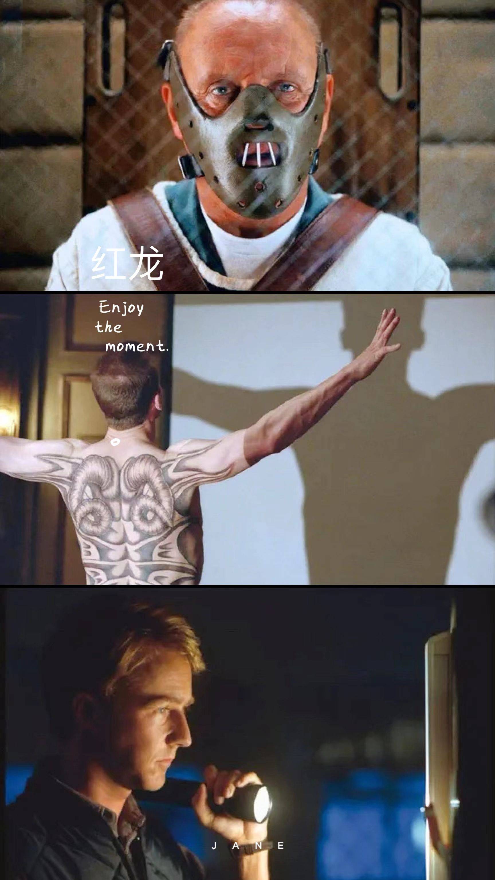 0869♂15第三部《红龙》豆瓣7.8分.