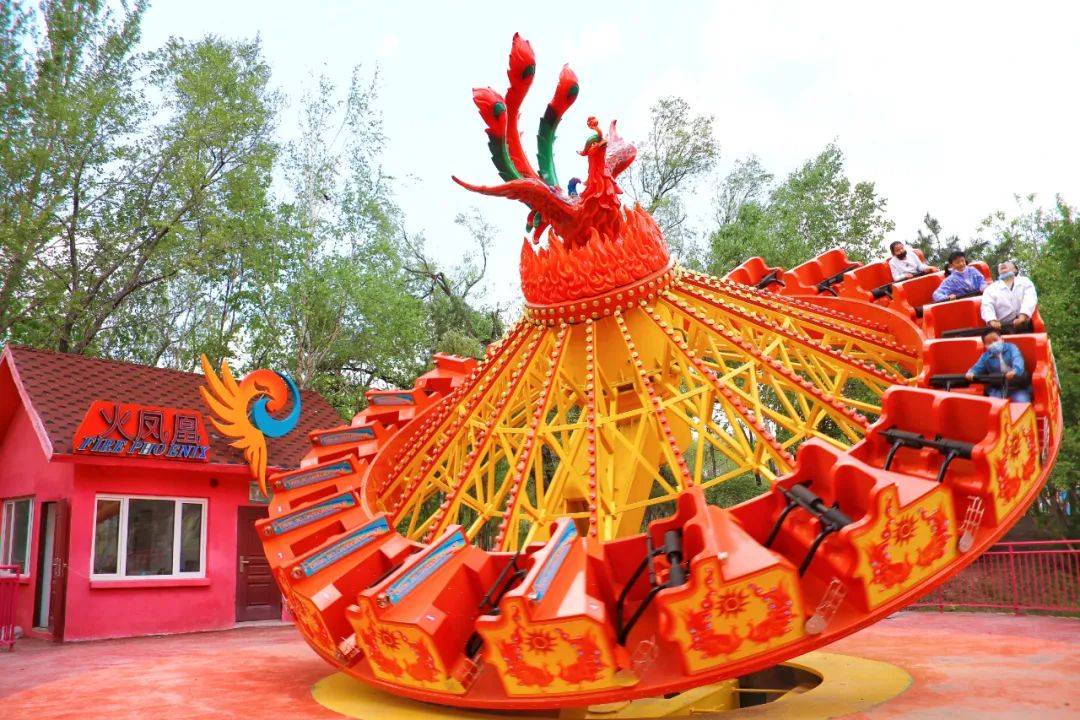 去太阳岛笨熊乐园带上这份指南让你乘兴而至快乐而归