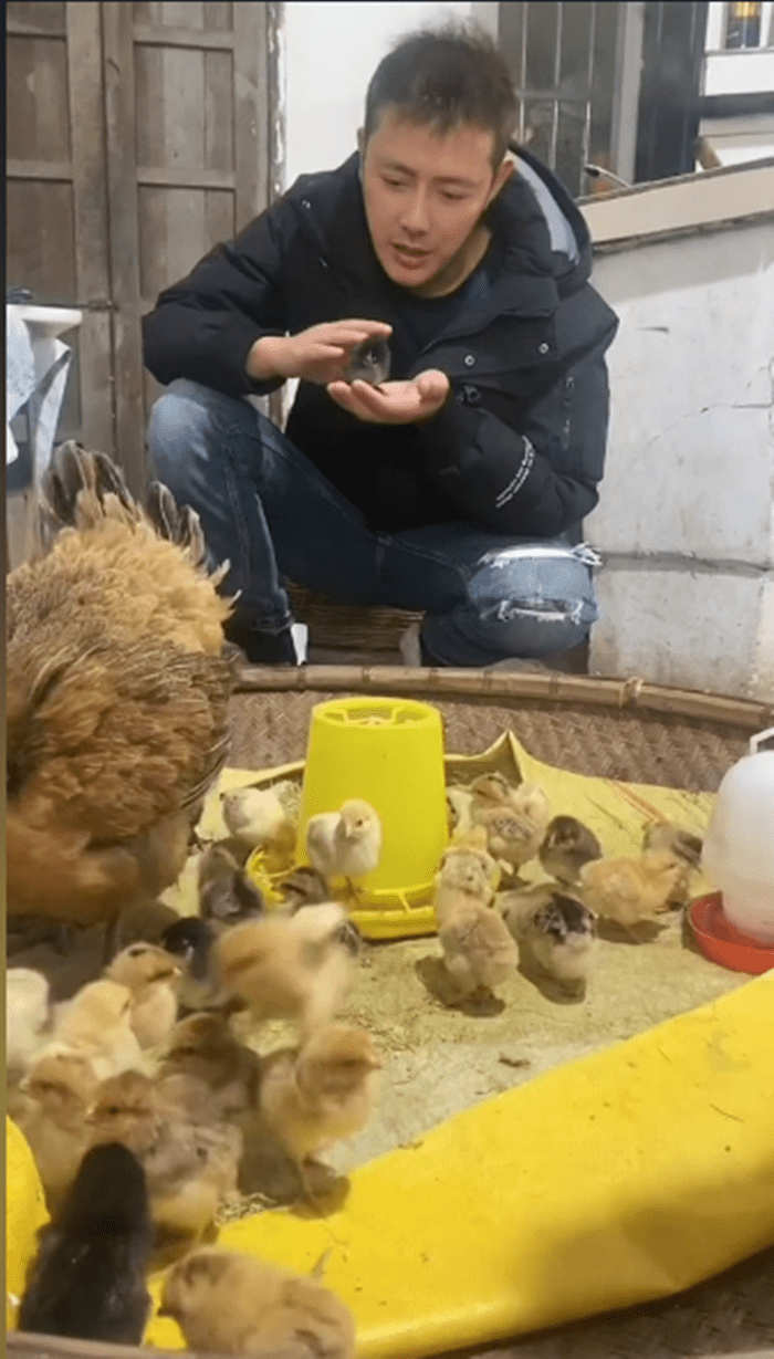 因失业回农村住平房,种地养鸡照顾自己九旬奶奶