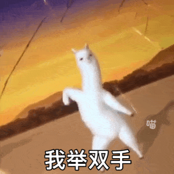 安卓党速度集合_自动_功能_支持