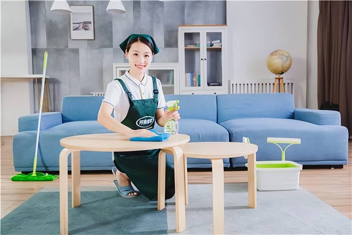 别墅家务保姆的介绍