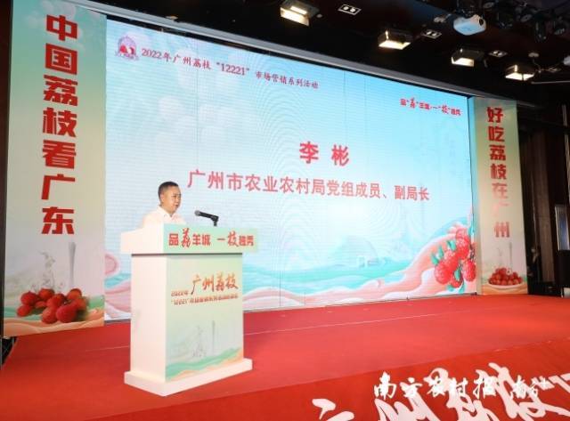广州市农业农村局副局长李彬指出,今年广州荔枝种植面积约55万亩,预计