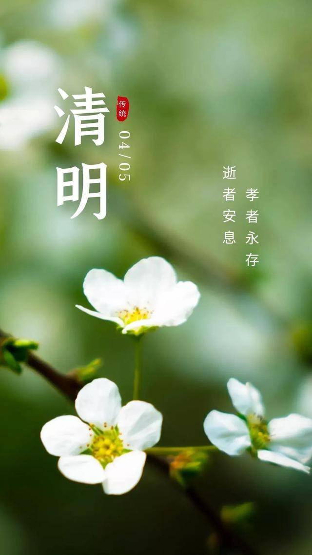 清明节图片高清优秀图片