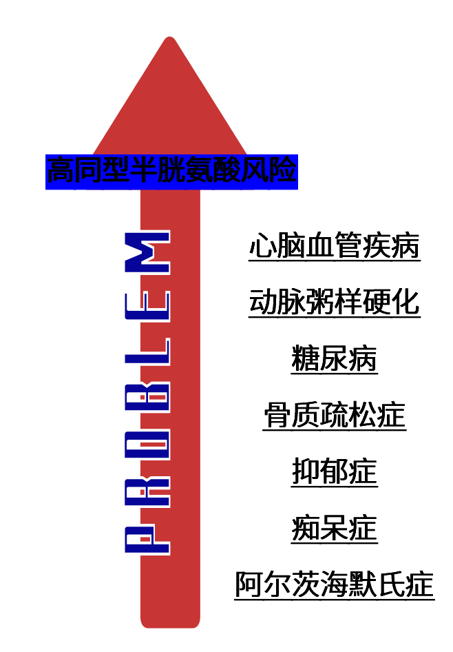 国际高血压日|这样「控压」可能更有效_叶酸_hcy_风险