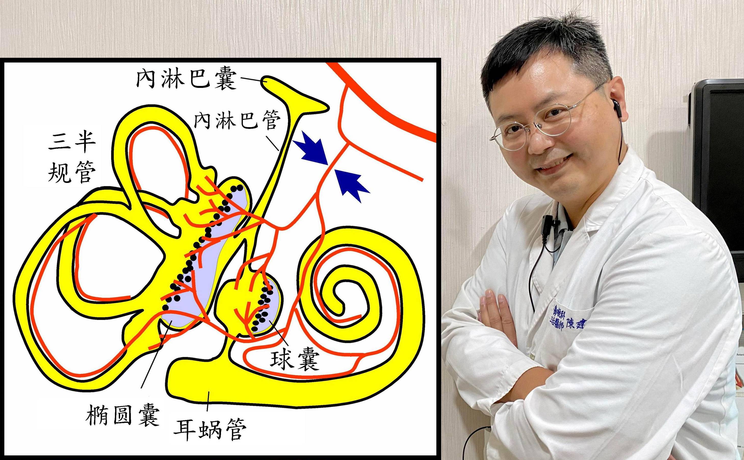 耳朵听见千万只蝉在叫?医师提醒,小心缺血性内耳水肿_动脉_听力_前庭