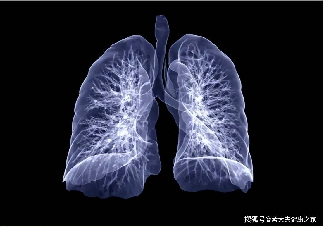 喝百草枯的肺图片