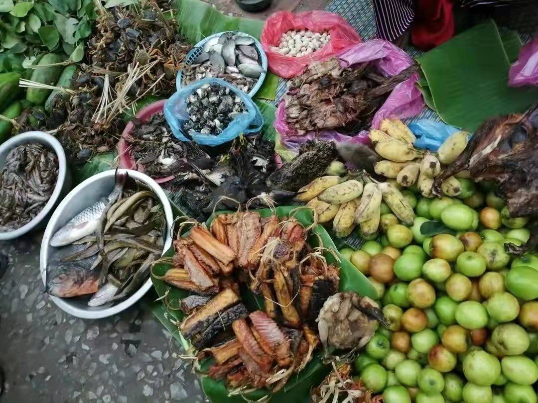 图片素材 : 镇, 餐饮, 供应商, 生产, 蔬菜, 亚洲, 市场, 公共场所, 老挝, 植物, 当地食物, 琅勃拉邦, phabang ...