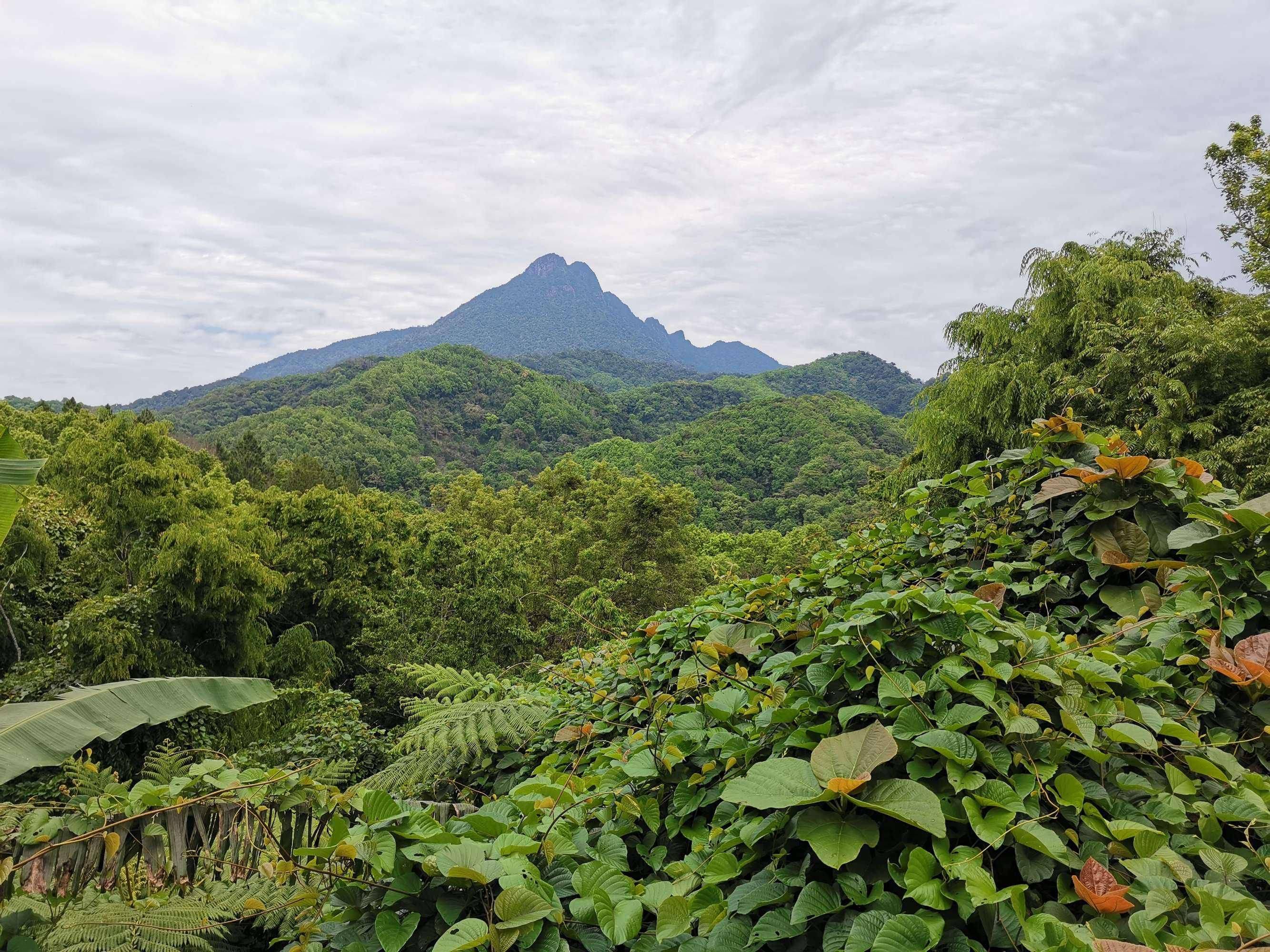 椰岛之旅——游遍中国_海南岛_五指山市_文昌