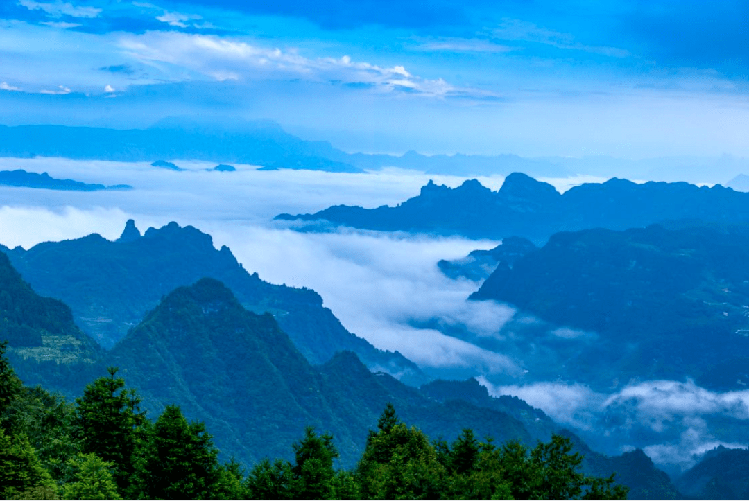 黔江发现二级国家重点保护野生动物毛冠鹿走进武陵山脉探寻珍惜野生动