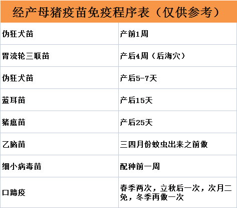 母猪疫苗免疫程序表,养猪人必学!
