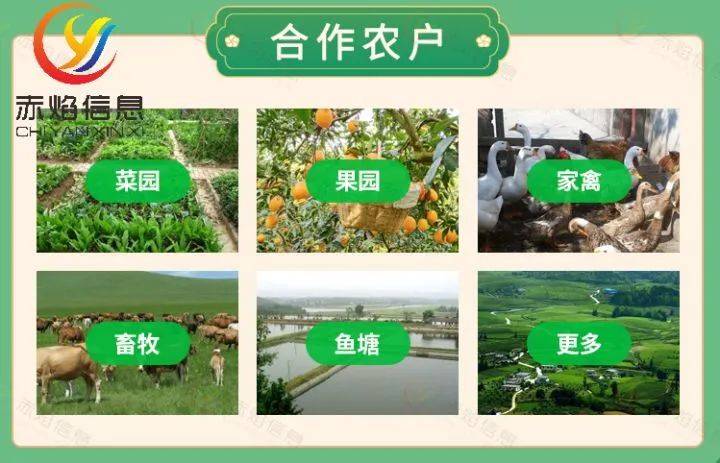 "互联网 认养农业模式"为什么火爆?是农业发展的大趋势吗?