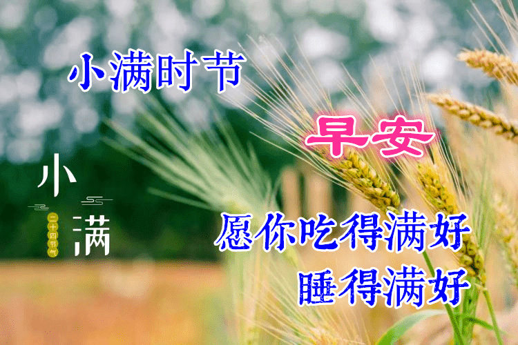 5月21日小满最有创意好看的早安早上好图片2022早安问候祝福图片文字