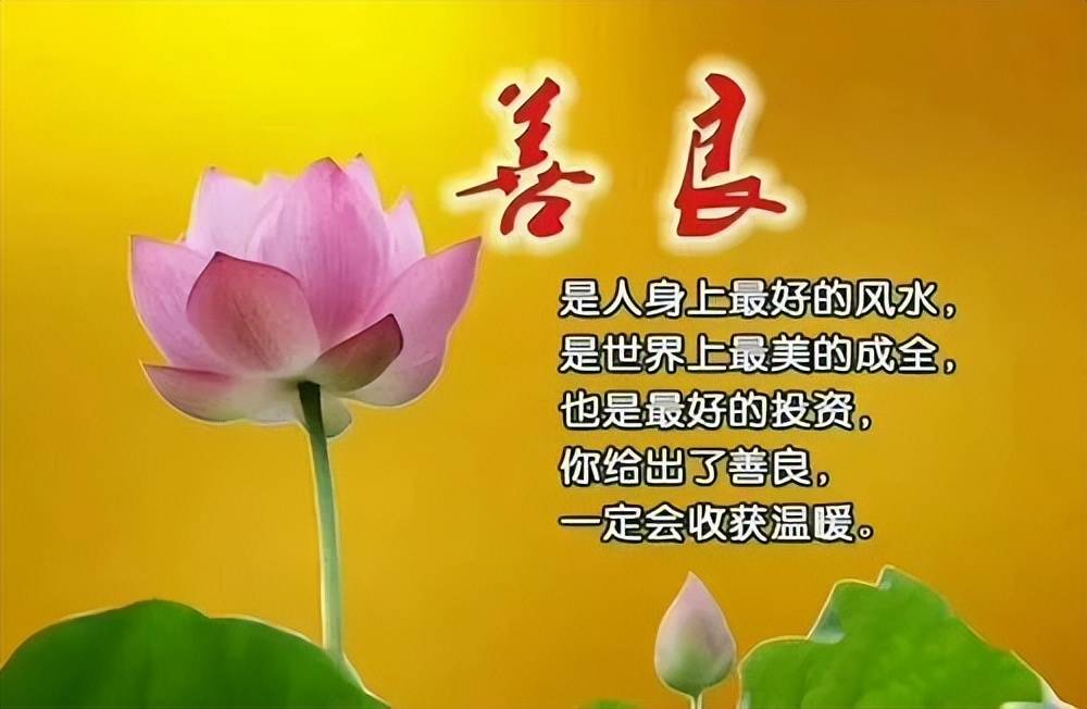 网友:善良的人运气都不会差!_女儿_纸盒子_垃圾