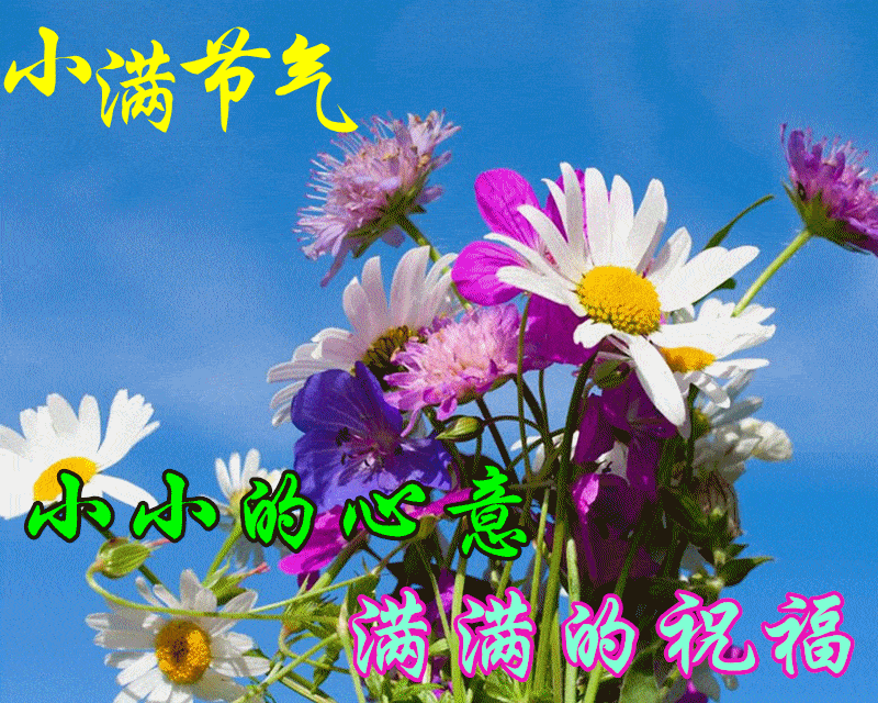 原创5月21日小满最漂亮清晨早上好动态表情祝福图片夏日早晨好动图美