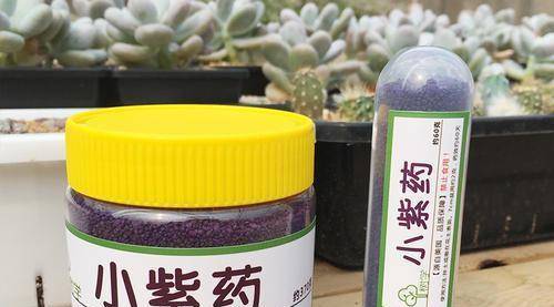 密密麻麻头皮疼,用这2个小方法,一次杀除干净_植物_药物_小紫
