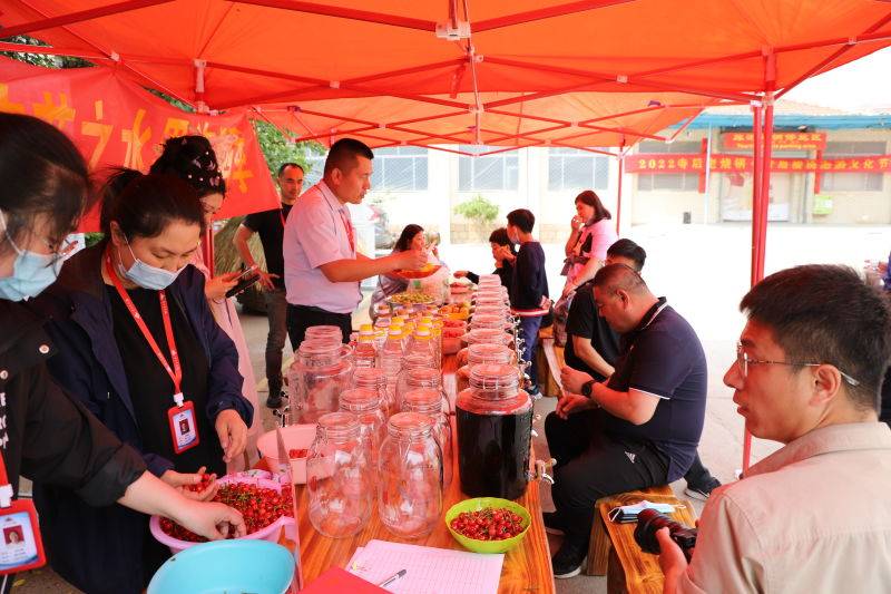 青岛第一届樱桃泡酒文化节活动于城阳夏庄成功举办