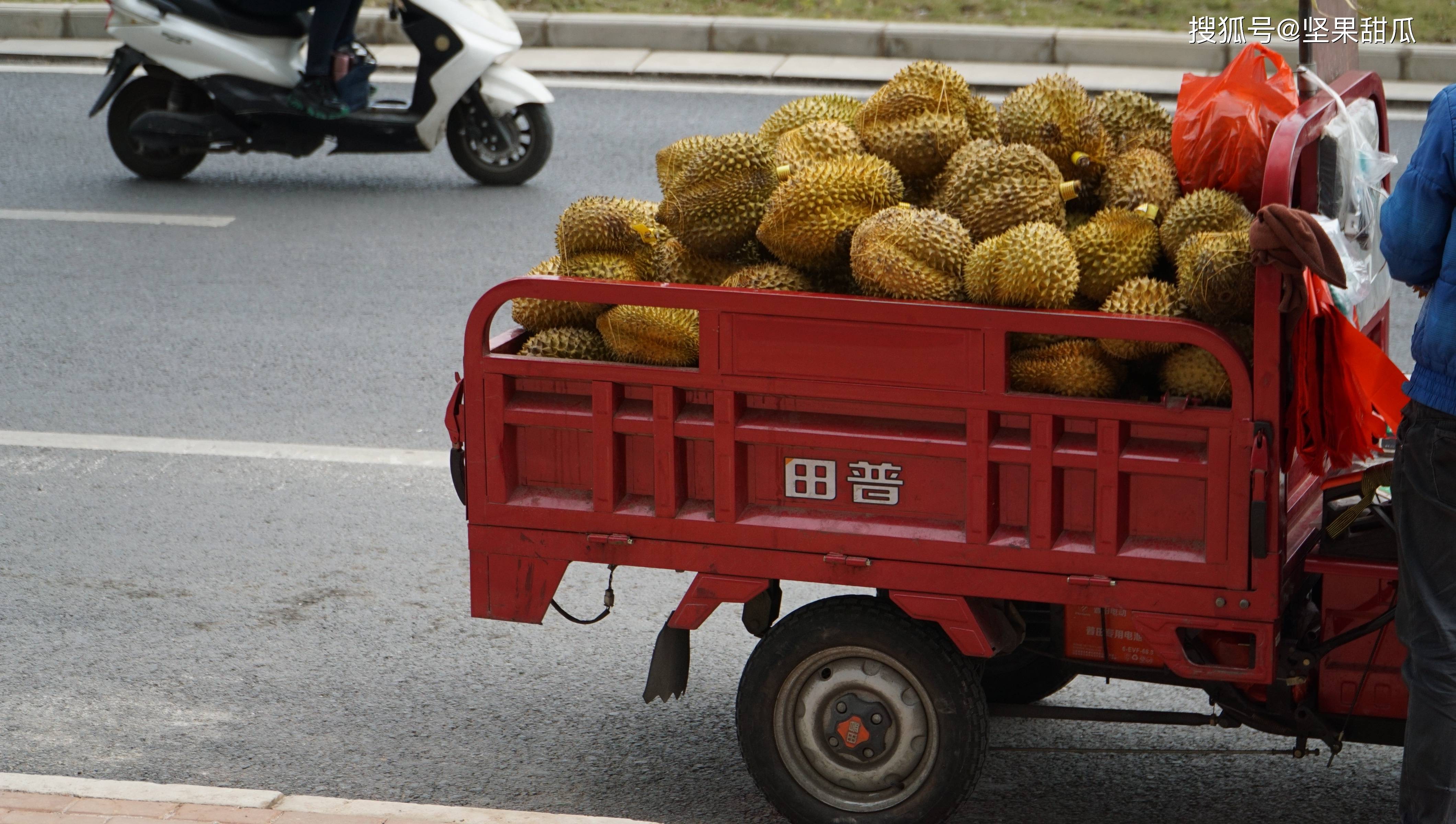 泰国榴莲大量“滞销”，卖不出去都是中国惹的祸？_生产国