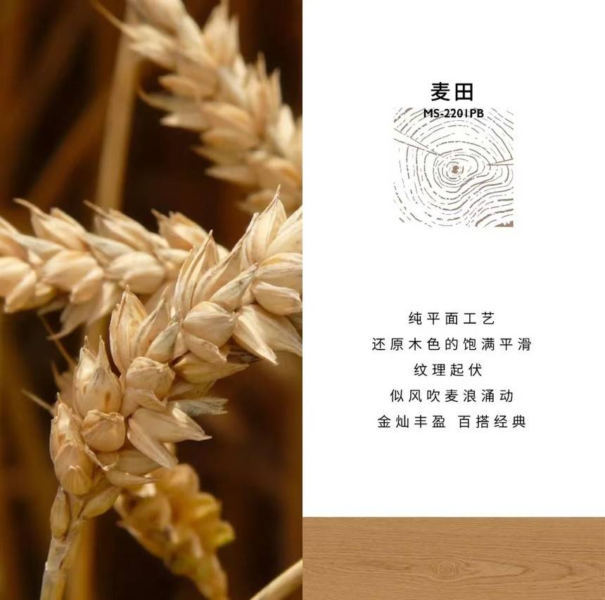 地王(empire)是中国抚松金隆木业集团打造享誉全球的地板品牌.