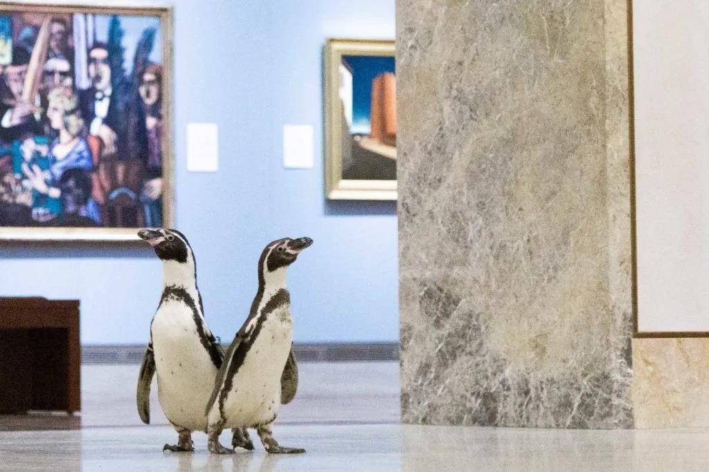 我竟然在羡慕三只企鹅？包场美术馆，安静观赏大师名作