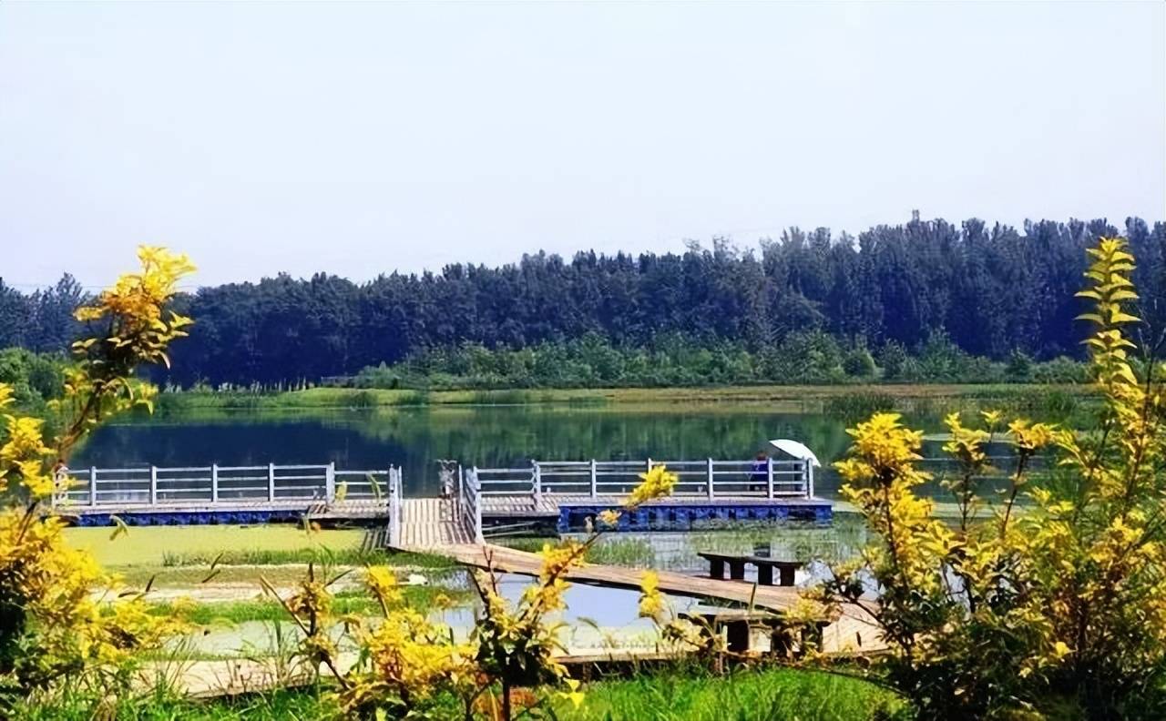 一起欣赏顺义这些公园美景!_湿地_北京市_自然