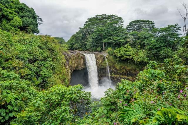彩虹之乡夏威夷徒步，雨林野果丛生，飞瀑清泉，妹子直呼太美了