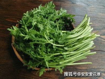 常给吃3种食物，孩子长得高，抵抗力强，家长们一起来看看吧！