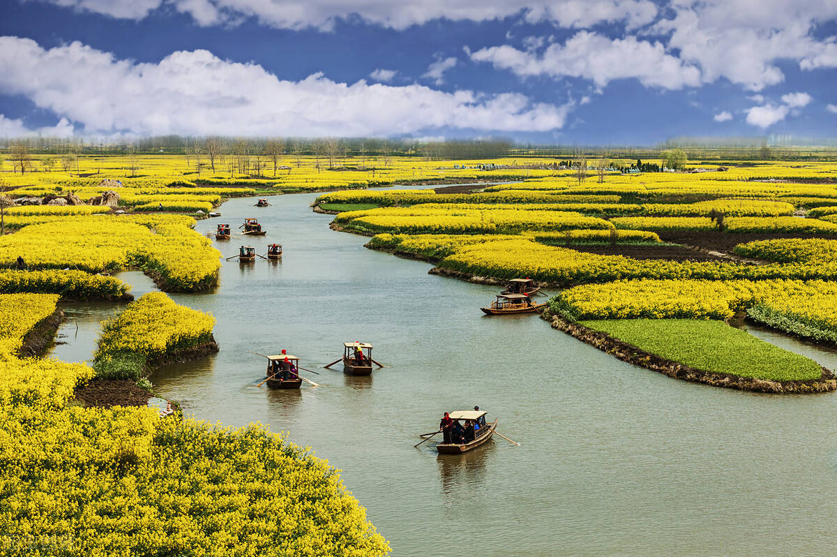 国内五大油菜花观赏地，婺源榜上有名，青海未上榜，北方无一城