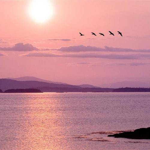 夕阳风景头像光景交融的日落黄昏的夕阳唯美图片