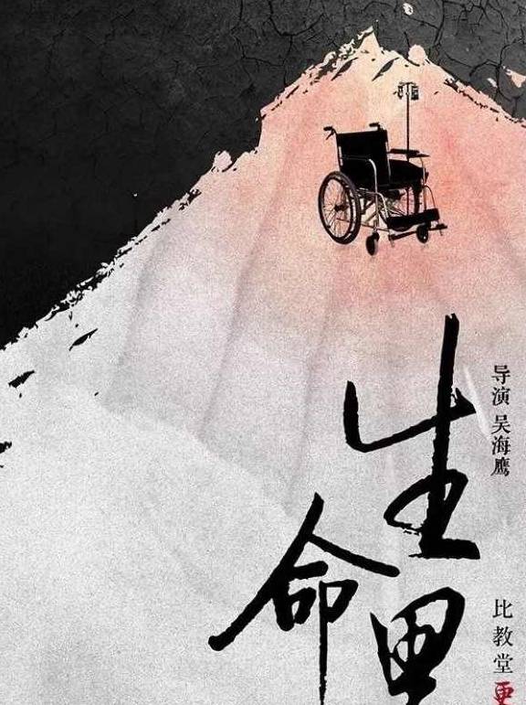 原创向死而生这部纪录片捕捉了生命尽头的样子